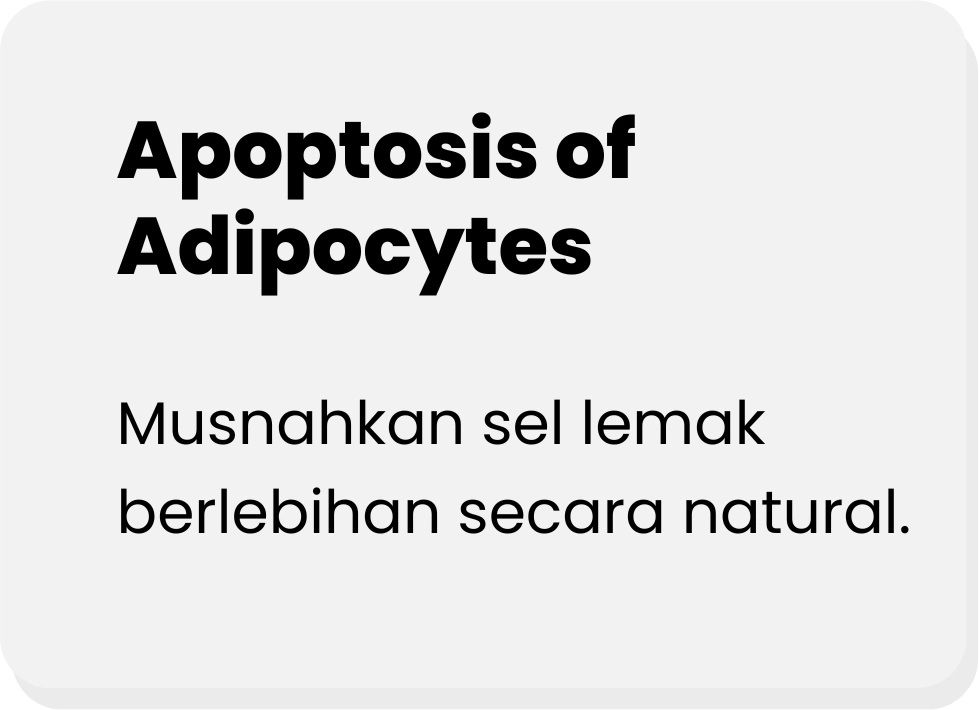 PROCESS-APOPTOSIS-ADIPOCYDE