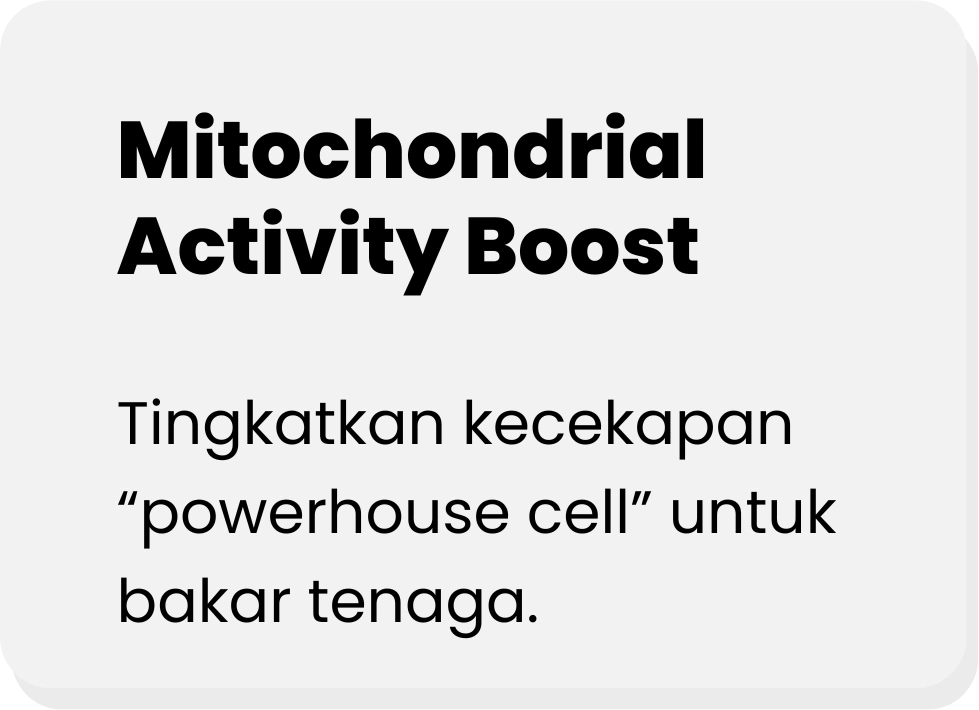 MITOCHONDRIAL-ACTIVITY-BOOST-ADIPOCYDE