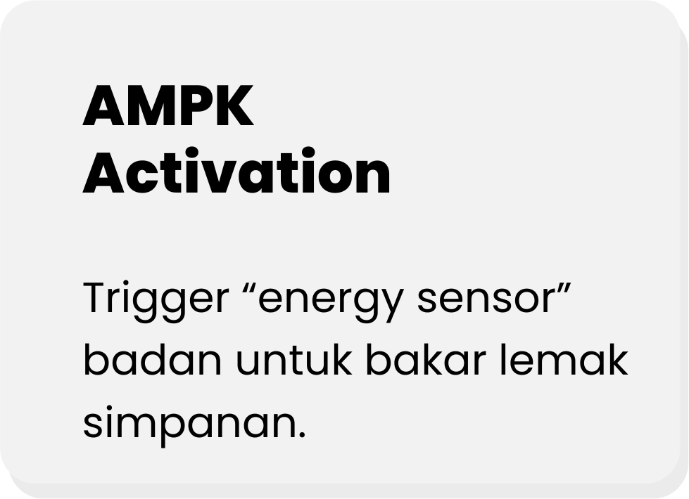 AMPK-ACTIVATION-ADIPOCYDE