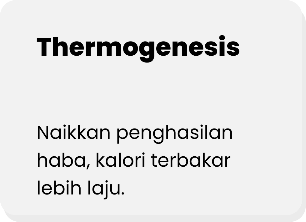 THERMOGENESIS-ADIPOCYDE
