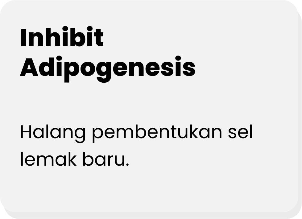 INHIBIT-ADIPOGENESIS-ADIPOCYDE