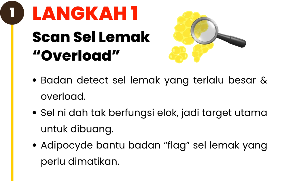 Langkah-langkah-kekal-kurus-Adipocyde