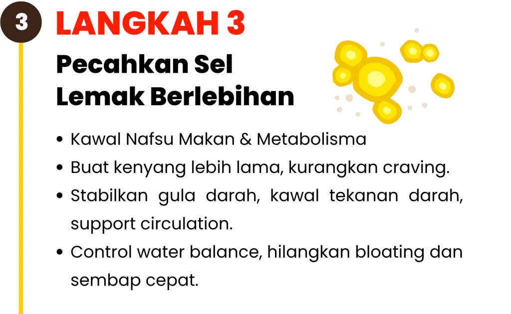 Langkah-langkah-kekal-kurus-Adipocyde