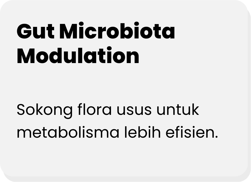 GUT-MICROBIOTA-MODULATION-ADIPOCYDE