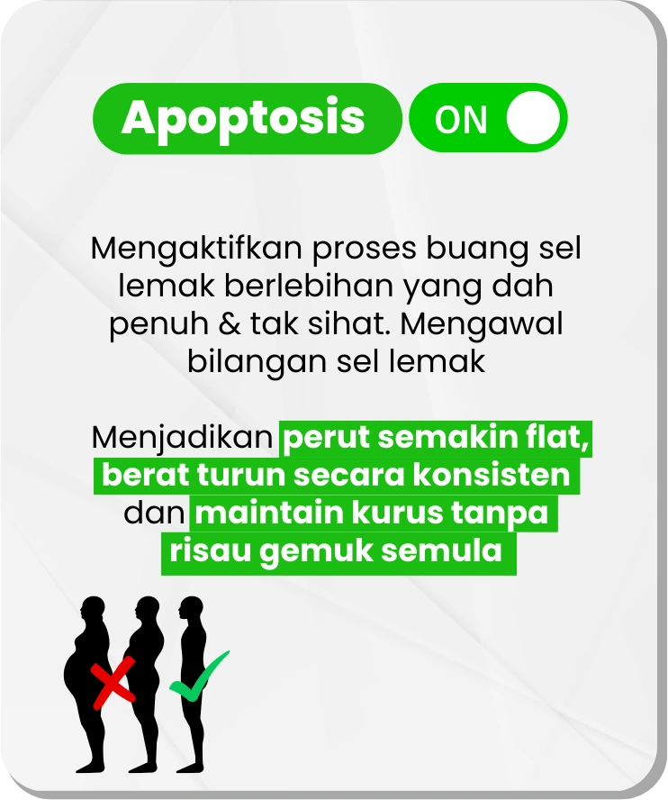 ADIPOCYDE - ON