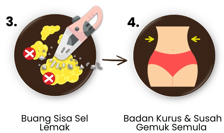 PROSES-ADIPOCYDE